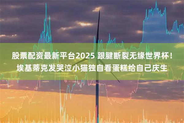 股票配资最新平台2025 跟腱断裂无缘世界杯！埃基蒂克发哭泣小猫独自看蛋糕给自己庆生