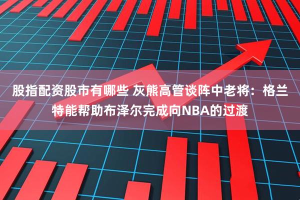 股指配资股市有哪些 灰熊高管谈阵中老将：格兰特能帮助布泽尔完成向NBA的过渡